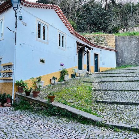 Pe Do Castelo Casinha - Pet Friendly & Garage Villa Tomar Exterior photo