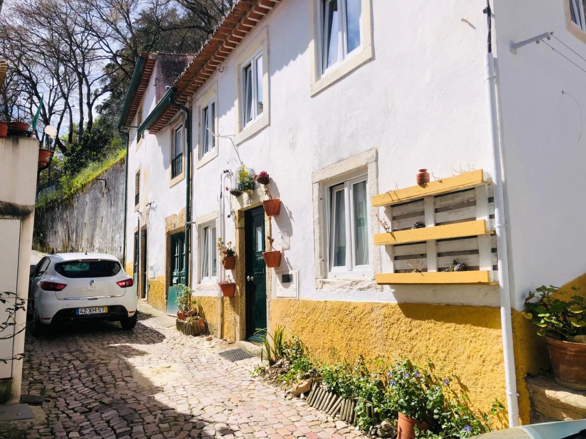 Pe Do Castelo Casinha - Pet Friendly & Garage Villa Tomar Exterior photo