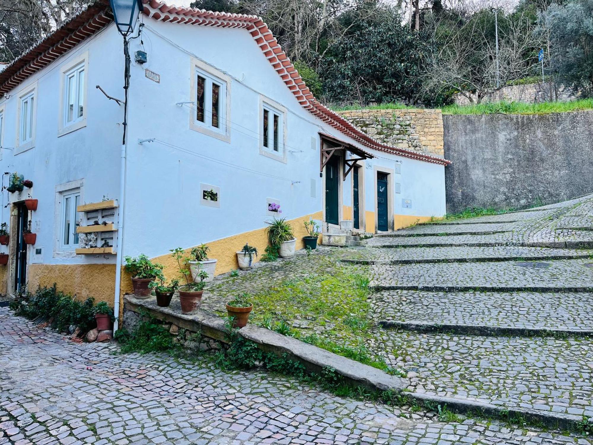 Pe Do Castelo Casinha - Pet Friendly & Garage Villa Tomar Exterior photo